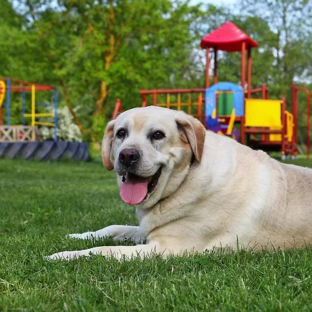 Ferienhaeuser Am Kummerower See, 別荘 Verchen